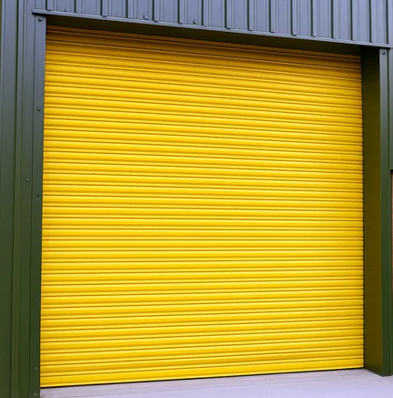Garage Door Spraying Service Leister